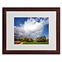 Trademark Philippe Sainte-Laudy "Dust in the Wind" Art, White Matte With Wood Frame, 16" x 20"~#|#~m001703221_sc7