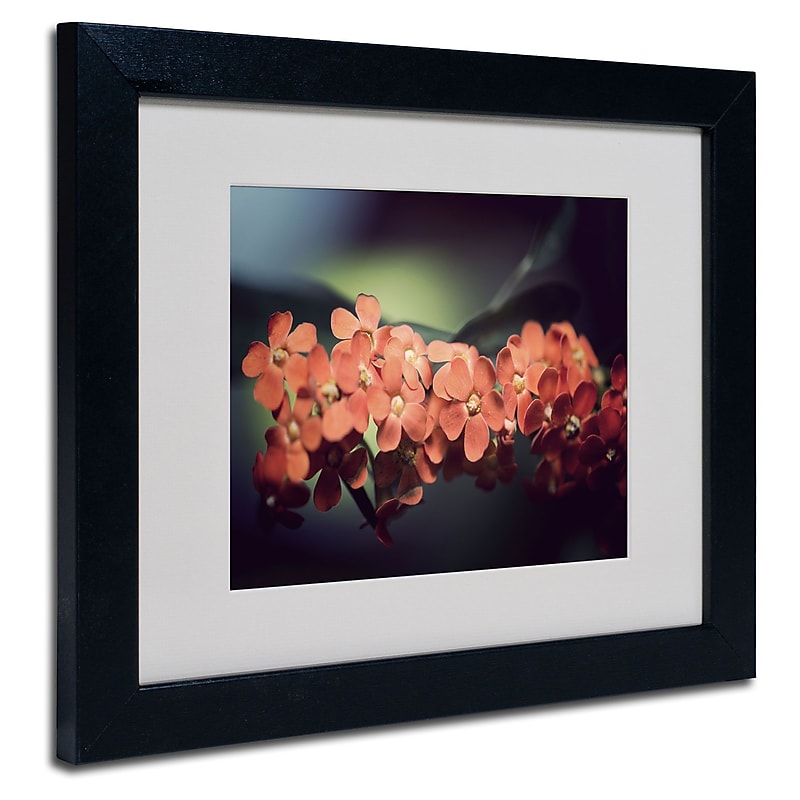 Trademark Philippe Sainte-Laudy "Flowers Waiting" Art, White Matte With Black Frame, 11" x 14" image 1