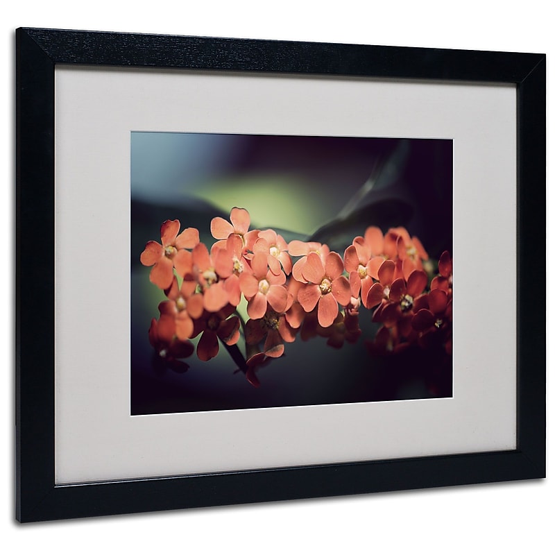 Trademark Philippe Sainte-Laudy "Flowers Waiting" Art, White Matte With Black Frame, 16" x 20" image 1