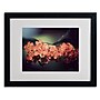 Trademark Philippe Sainte-Laudy "Flowers Waiting" Art, White Matte With Black Frame, 16" x 20"~#|#~m001703226_sc7