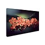 Trademark Philippe Sainte-Laudy "Flowers Waiting" Gallery-Wrapped Canvas Art, 22" x 32"~#|#~m001703228_sc7