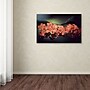 Trademark Philippe Sainte-Laudy "Flowers Waiting" Gallery-Wrapped Canvas Art, 22" x 32"~#|#~m001703229_sc7