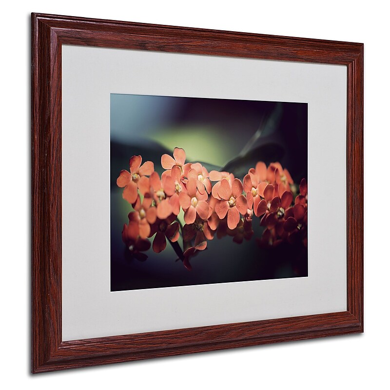 Trademark Philippe Sainte-Laudy "Flowers Waiting" Art, White Matte With Wood Frame, 16" x 20" image 1