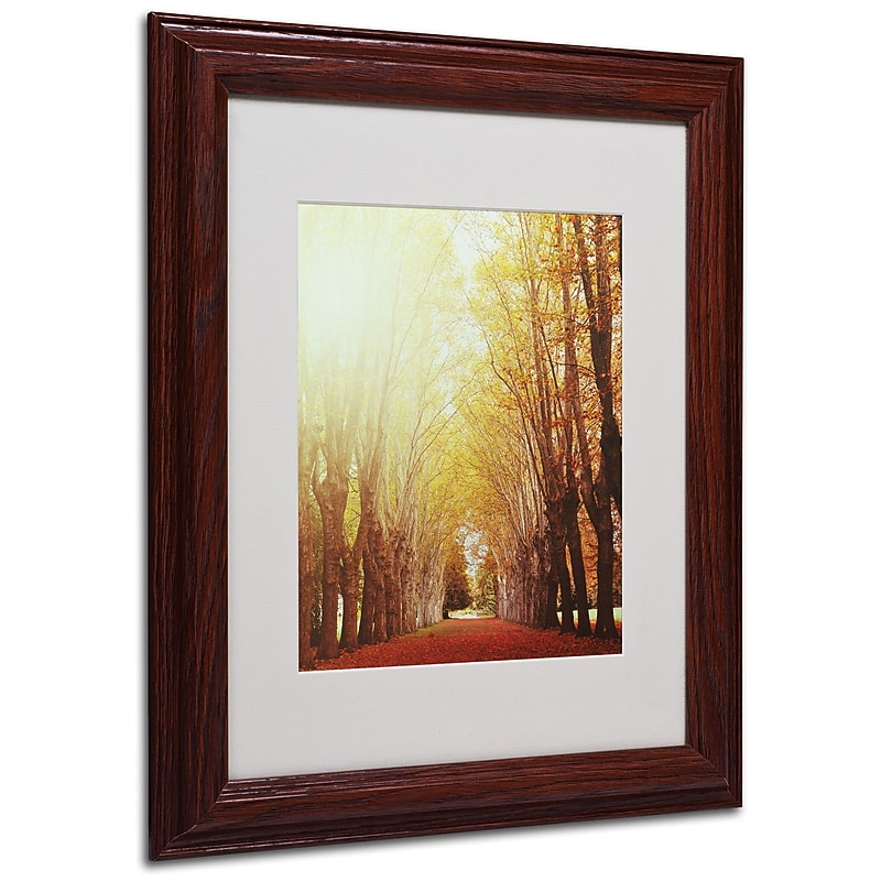 Trademark Philippe Sainte-Laudy "Fountains of Light" Art, White Matte With Wood Frame, 11" x 14" image 1