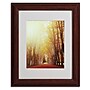 Trademark Philippe Sainte-Laudy "Fountains of Light" Art, White Matte With Wood Frame, 11" x 14"~#|#~m001703244_sc7