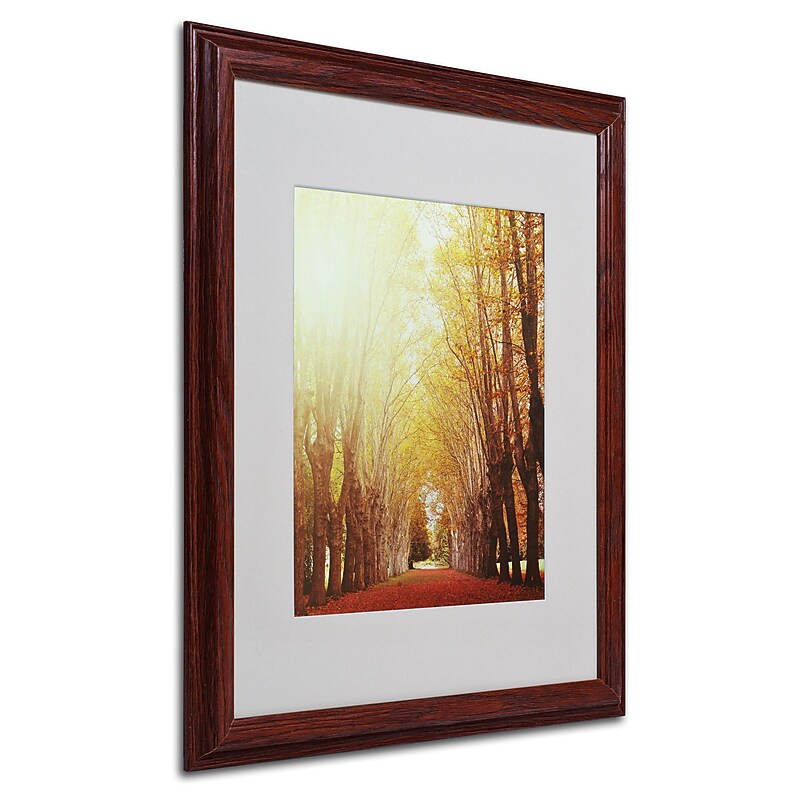 Trademark Philippe Sainte-Laudy "Fountains of Light" Art, White Matte With Wood Frame, 16" x 20" image 1