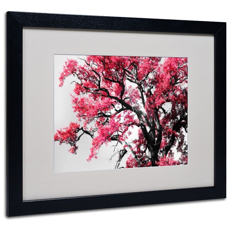 Trademark Philippe Sainte-Laudy "Glowing Tones" Art, White Matte With Black Frame, 16" x 20" image 1