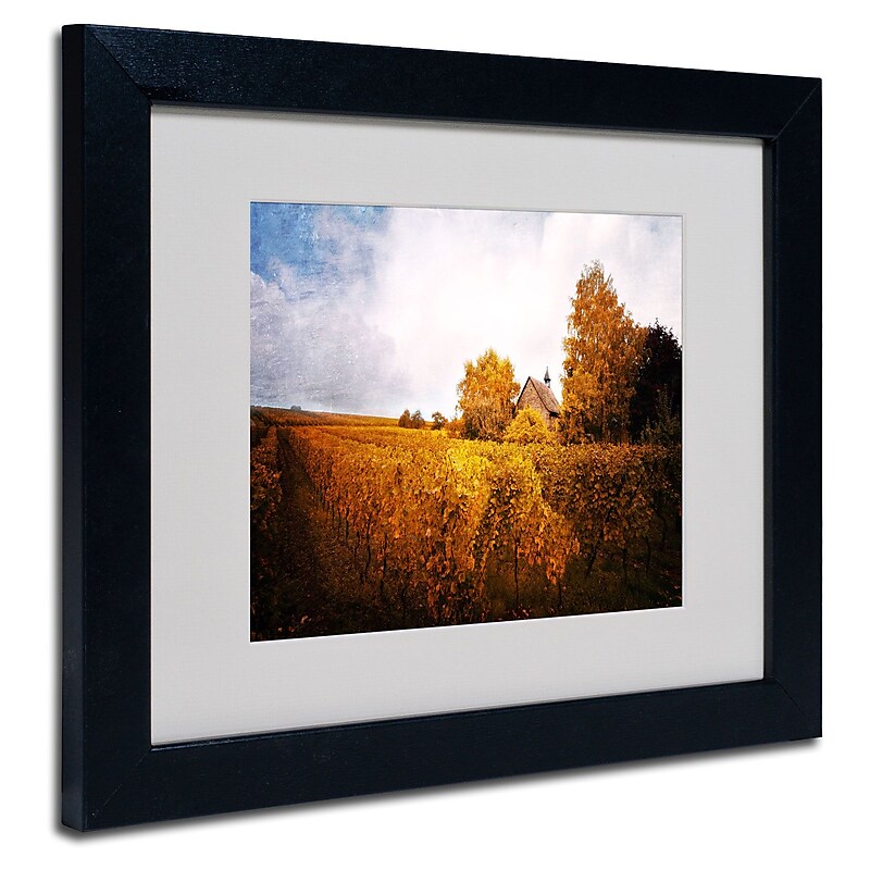 Trademark Philippe Sainte-Laudy "Light in Vineyards" Art, White Matte With Black Frame, 11" x 14" image 1