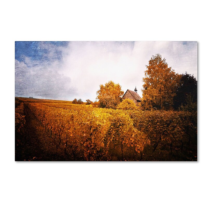 Trademark Philippe Sainte-Laudy "Light in Vineyards" Gallery-Wrapped Canvas Art, 16" x 24" image 1