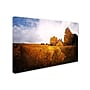 Trademark Philippe Sainte-Laudy "Light in Vineyards" Gallery-Wrapped Canvas Art, 22" x 32"~#|#~m001703267_sc7