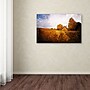 Trademark Philippe Sainte-Laudy "Light in Vineyards" Gallery-Wrapped Canvas Art, 22" x 32"~#|#~m001703268_sc7
