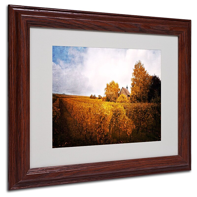 Trademark Philippe Sainte-Laudy "Light in Vineyards" Art, White Matte With Wood Frame, 11" x 14" image 1