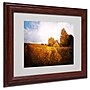 Trademark Philippe Sainte-Laudy "Light in Vineyards" Art, White Matte With Wood Frame, 11" x 14"~#|#~m001703269_sc7