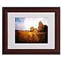 Trademark Philippe Sainte-Laudy "Light in Vineyards" Art, White Matte With Wood Frame, 11" x 14"~#|#~m001703270_sc7