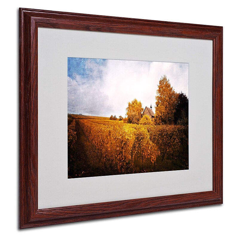 Trademark Philippe Sainte-Laudy "Light in Vineyards" Art, White Matte With Wood Frame, 16" x 20" image 1