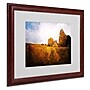 Trademark Philippe Sainte-Laudy "Light in Vineyards" Art, White Matte With Wood Frame, 16" x 20"~#|#~m001703272_sc7