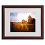 Trademark Philippe Sainte-Laudy "Light in Vineyards" Art, White Matte With Wood Frame, 16" x 20"~#|#~m001703273_sc7