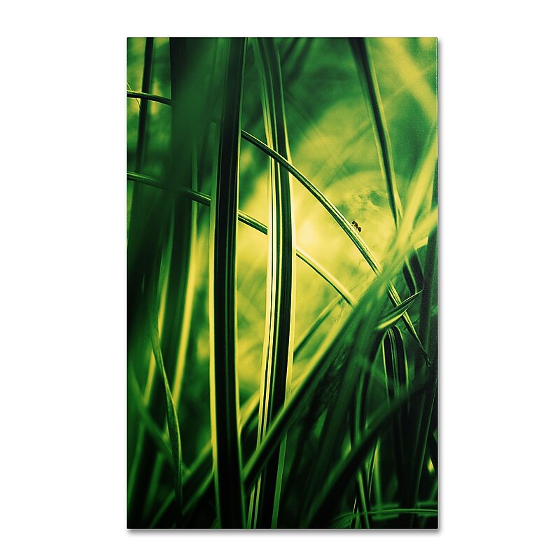 Trademark Philippe Sainte-Laudy "Miniature" Gallery-Wrapped Canvas Art, 22" x 32" image 1