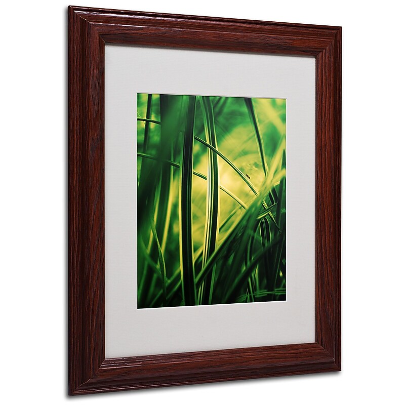 Trademark Philippe Sainte-Laudy "Miniature" Art, White Matte With Wood Frame, 11" x 14" image 1