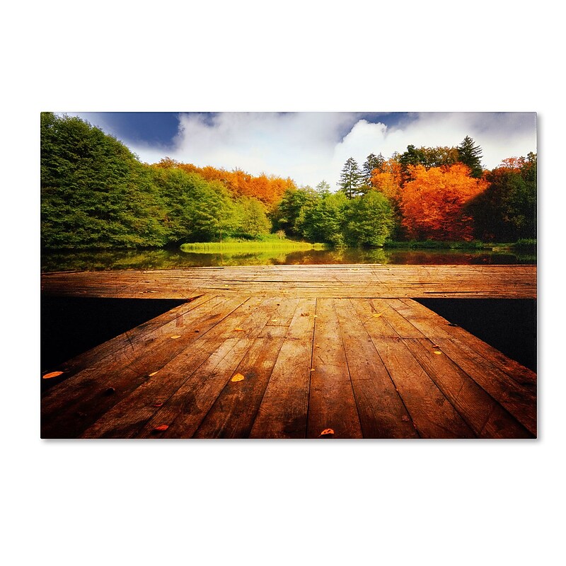 Trademark Philippe Sainte-Laudy "October" Gallery-Wrapped Canvas Art, 30" x 47" image 1