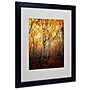 Trademark Philippe Sainte-Laudy "On Fire" Art, White Matte With Black Frame, 16" x 20"~#|#~m001703329_sc7
