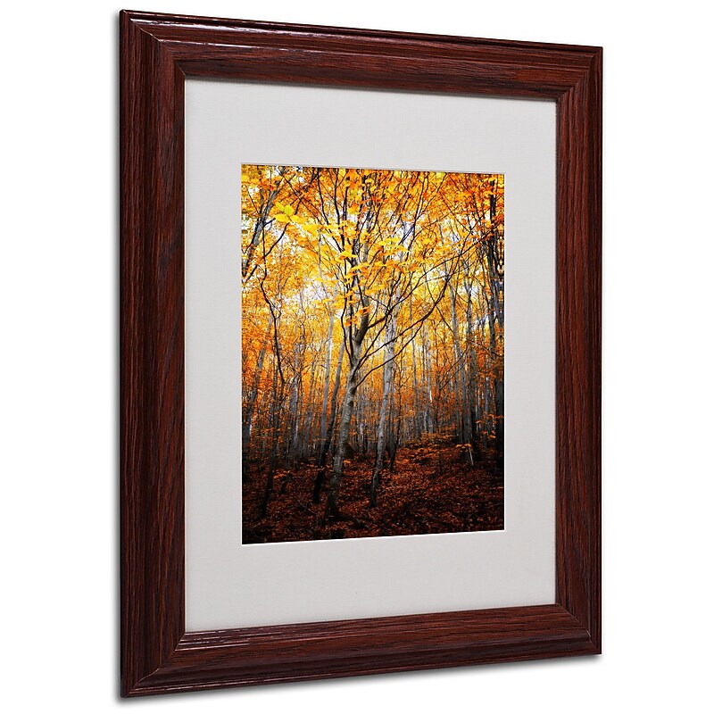 Trademark Philippe Sainte-Laudy "On Fire" Art, White Matte With Wood Frame, 11" x 14" image 1