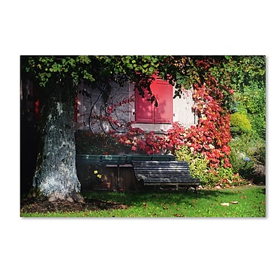 Trademark Philippe Sainte-Laudy "Parenthesis" Gallery-Wrapped Canvas Art, 12" x 19"