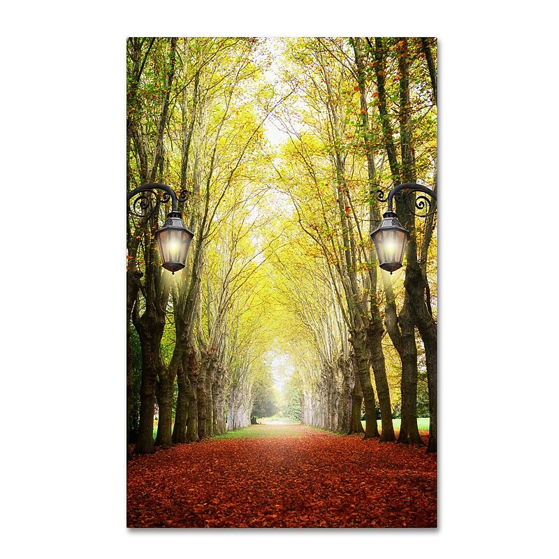 Trademark Philippe Sainte-Laudy "Plane Tree Alley" Gallery-Wrapped Canvas Art, 12" x 19" image 1