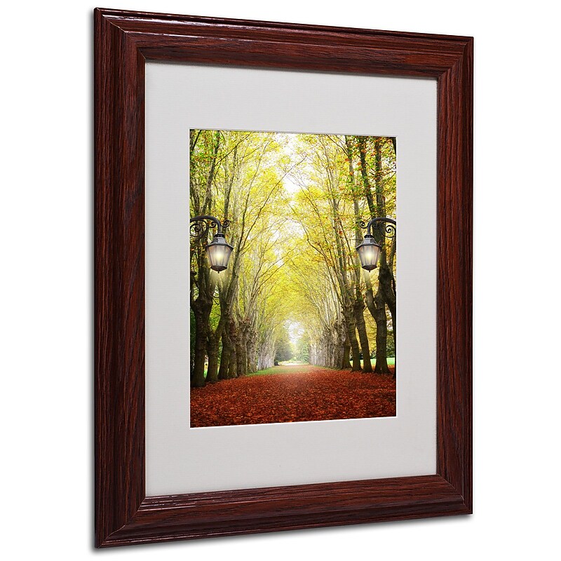 Trademark Philippe Sainte-Laudy "Plane Tree Alley" Art, White Matte With Wood Frame, 11" x 14" image 1