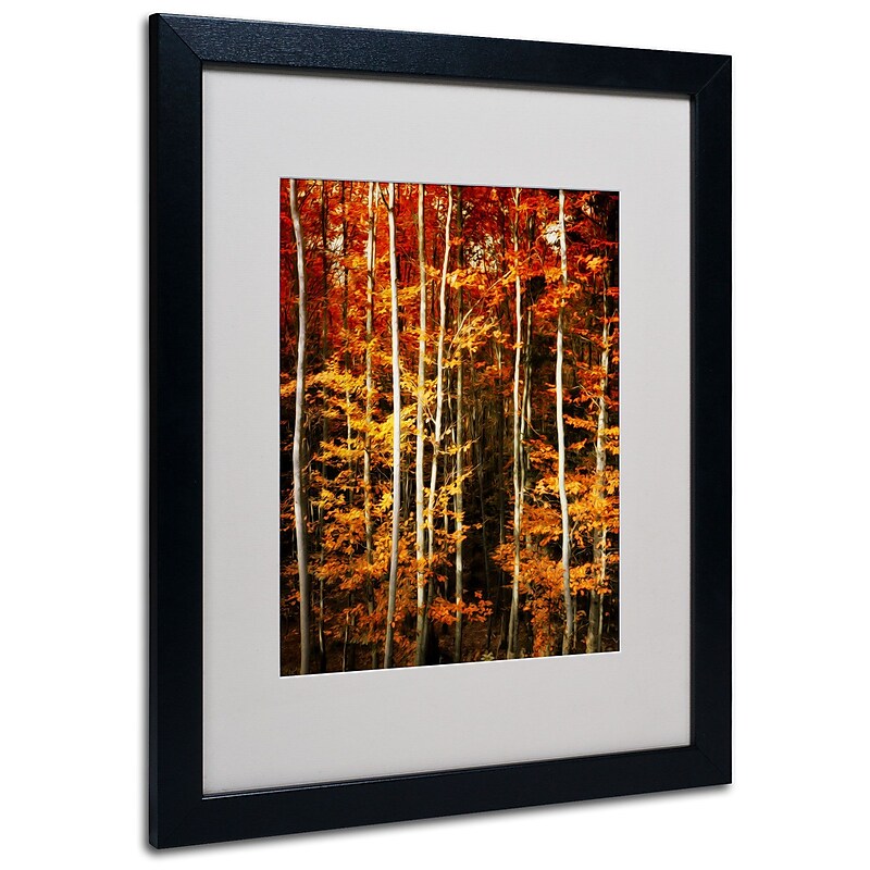 Trademark Philippe Sainte-Laudy "Poise" Art, White Matte With Black Frame, 16" x 20" image 1
