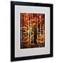 Trademark Philippe Sainte-Laudy "Poise" Art, White Matte With Black Frame, 16" x 20"~#|#~m001703381_sc7