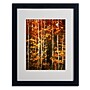 Trademark Philippe Sainte-Laudy "Poise" Art, White Matte With Black Frame, 16" x 20"~#|#~m001703382_sc7