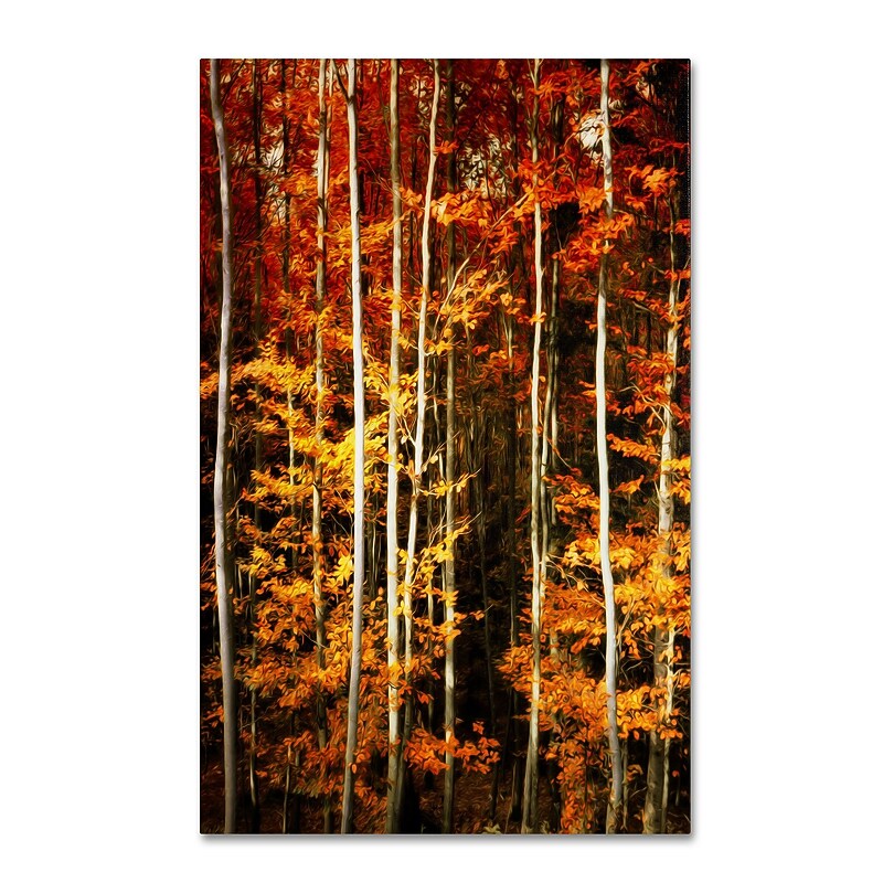 Trademark Philippe Sainte-Laudy "Poise" Gallery-Wrapped Canvas Art, 30" x 47" image 1