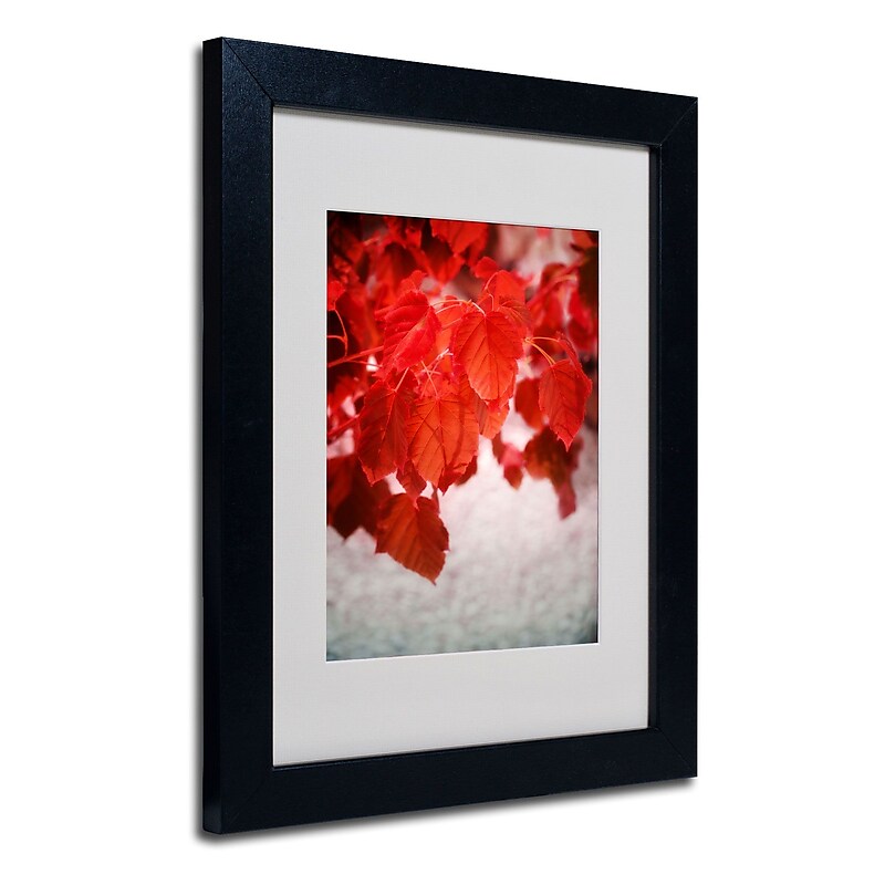 Trademark Philippe Sainte-Laudy "Red is On" Art, White Matte With Black Frame, 11" x 14" image 1