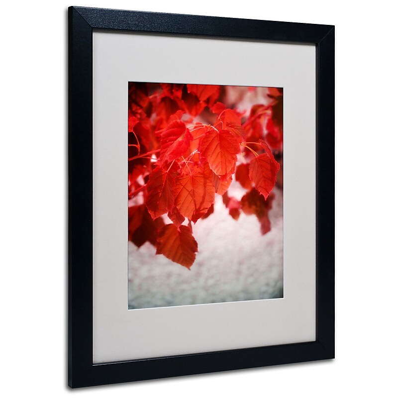 Trademark Philippe Sainte-Laudy "Red is On" Art, White Matte With Black Frame, 16" x 20" image 1