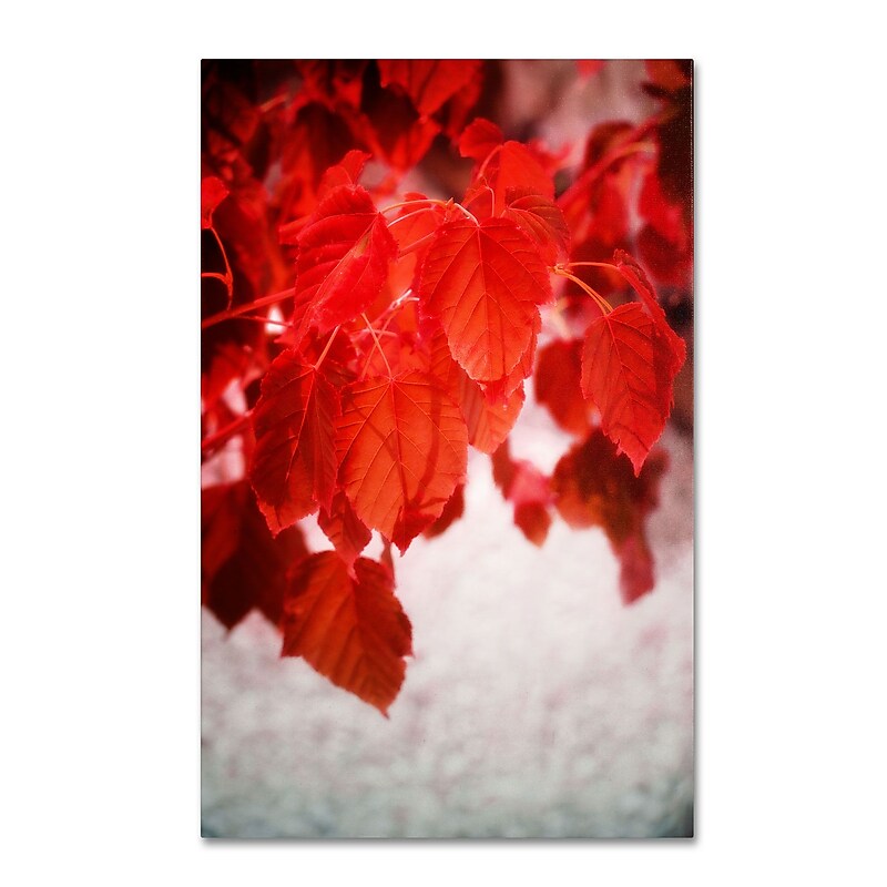 Trademark Philippe Sainte-Laudy "Red is On" Gallery-Wrapped Canvas Art, 22" x 32" image 1