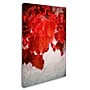 Trademark Philippe Sainte-Laudy "Red is On" Gallery-Wrapped Canvas Art, 22" x 32"~#|#~m001703397_sc7