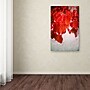 Trademark Philippe Sainte-Laudy "Red is On" Gallery-Wrapped Canvas Art, 22" x 32"~#|#~m001703398_sc7