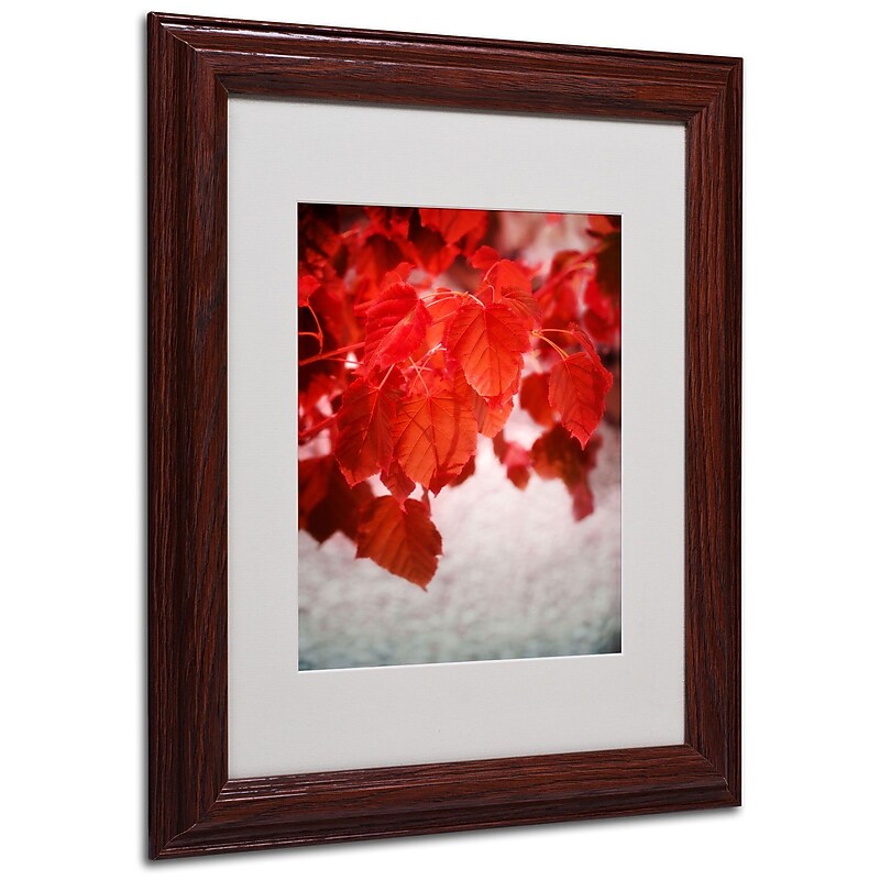 Trademark Philippe Sainte-Laudy "Red is On" Art, White Matte With Wood Frame, 11" x 14" image 1