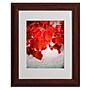 Trademark Philippe Sainte-Laudy "Red is On" Art, White Matte With Wood Frame, 11" x 14"~#|#~m001703400_sc7