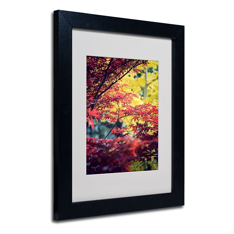 Trademark Philippe Sainte-Laudy "Red vs Yellow" Art, White Matte With Black Frame, 11" x 14" image 1