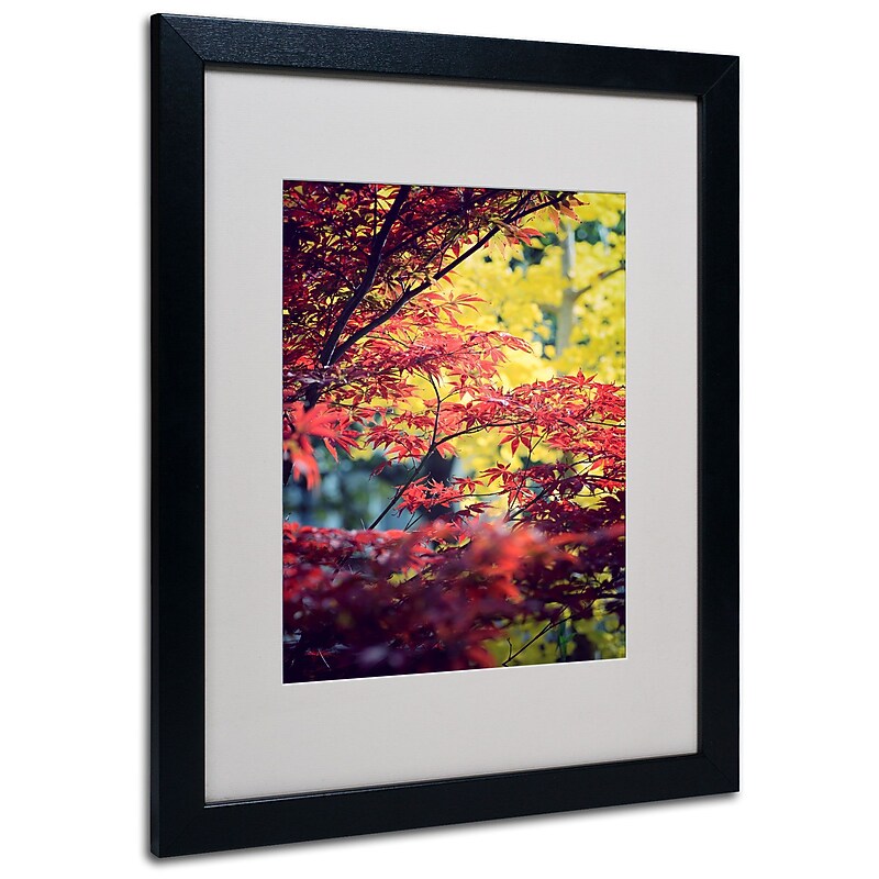 Trademark Philippe Sainte-Laudy "Red vs Yellow" Art, White Matte With Black Frame, 16" x 20" image 1