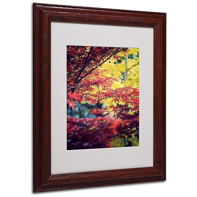 Trademark Philippe Sainte-Laudy "Red vs Yellow" Art, White Matte With Wood Frame, 11" x 14" image 1