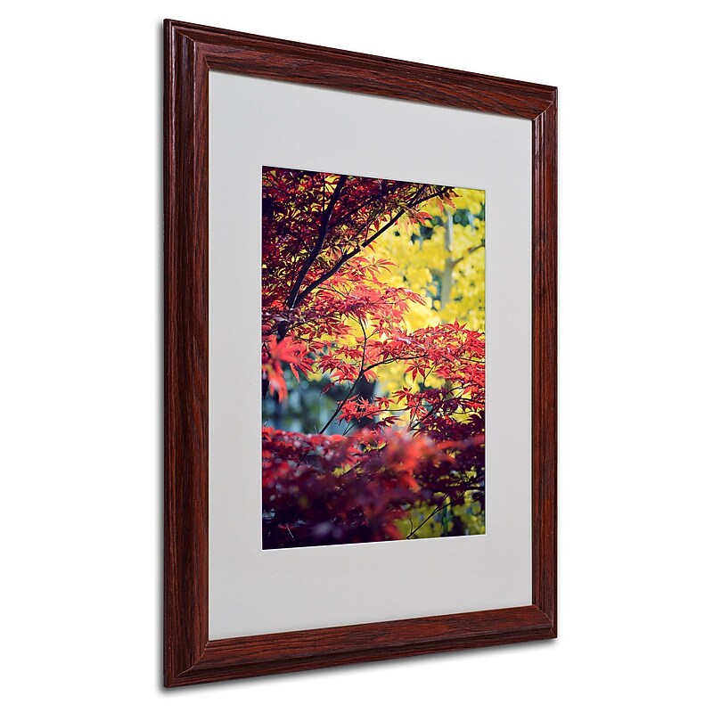 Trademark Philippe Sainte-Laudy "Red vs Yellow" Art, White Matte With Wood Frame, 16" x 20" image 1