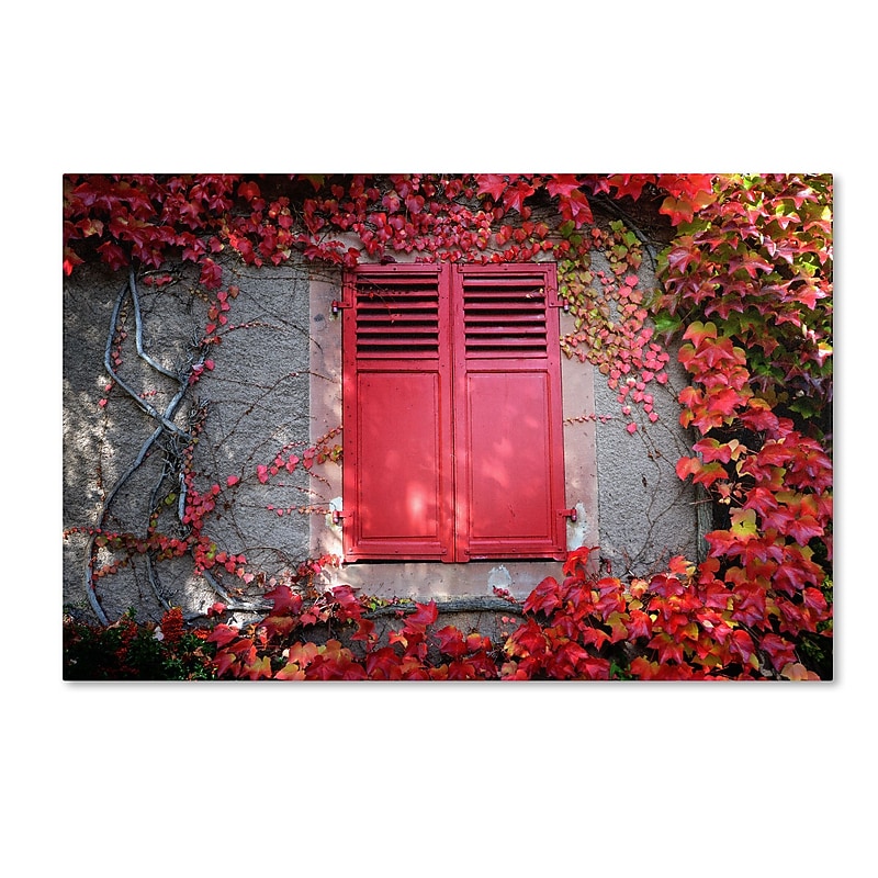 Trademark Philippe Sainte-Laudy "Red Windowpane" Gallery-Wrapped Canvas Art, 30" x 47" image 1