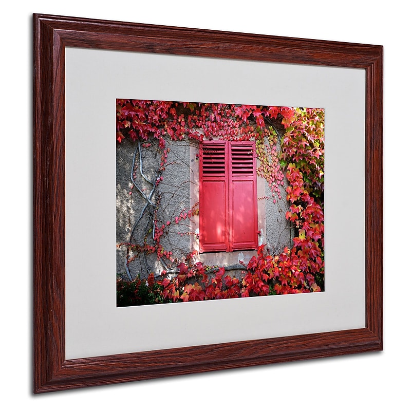 Trademark Philippe Sainte-Laudy "Red Windowpane" Art, White Matte With Wood Frame, 16" x 20" image 1