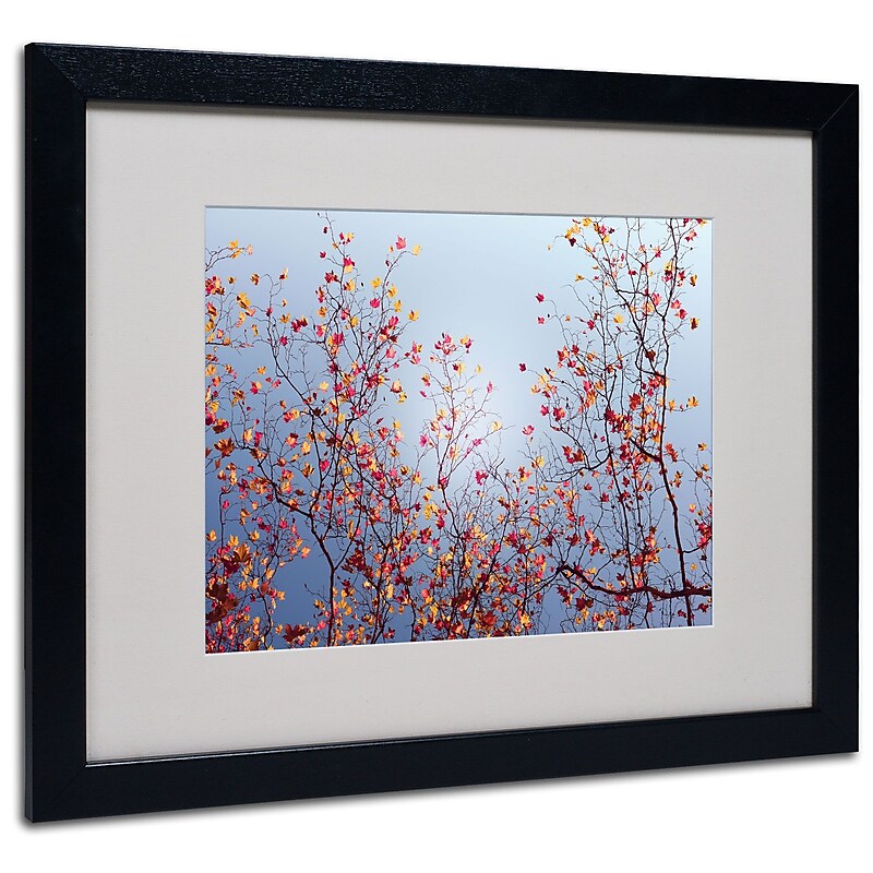 Trademark Philippe Sainte-Laudy "Reprieve" Art, White Matte With Black Frame, 16" x 20" image 1