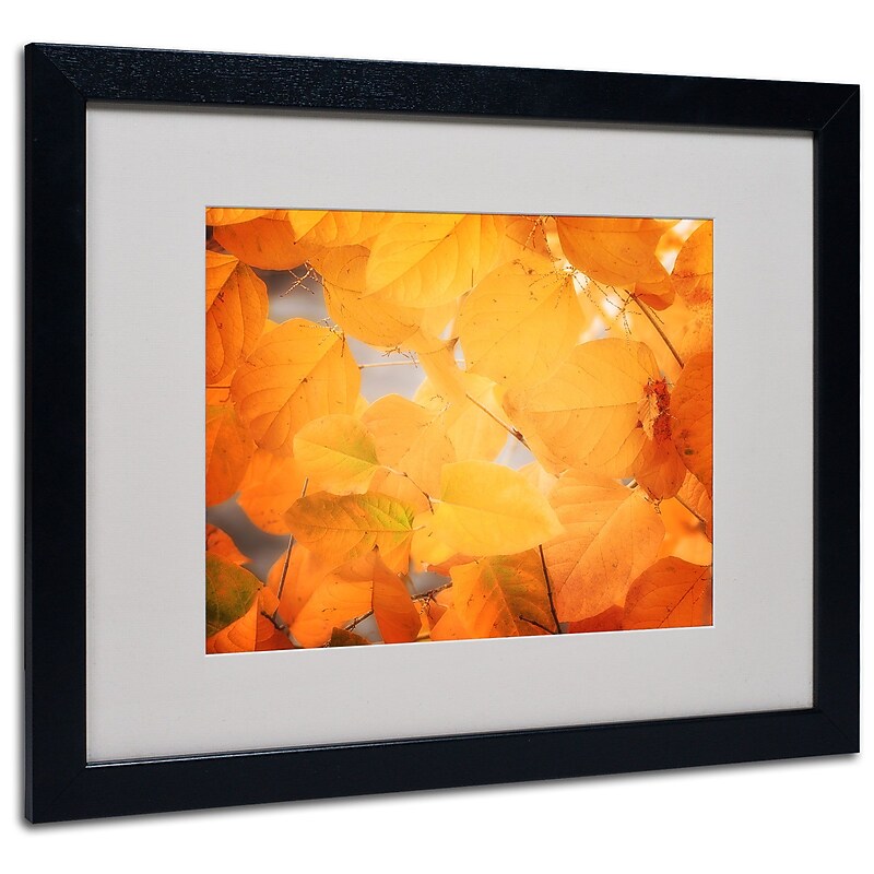 Trademark Philippe Sainte-Laudy "Seasonal Leaves" Art, White Matte With Black Frame, 16" x 20" image 1