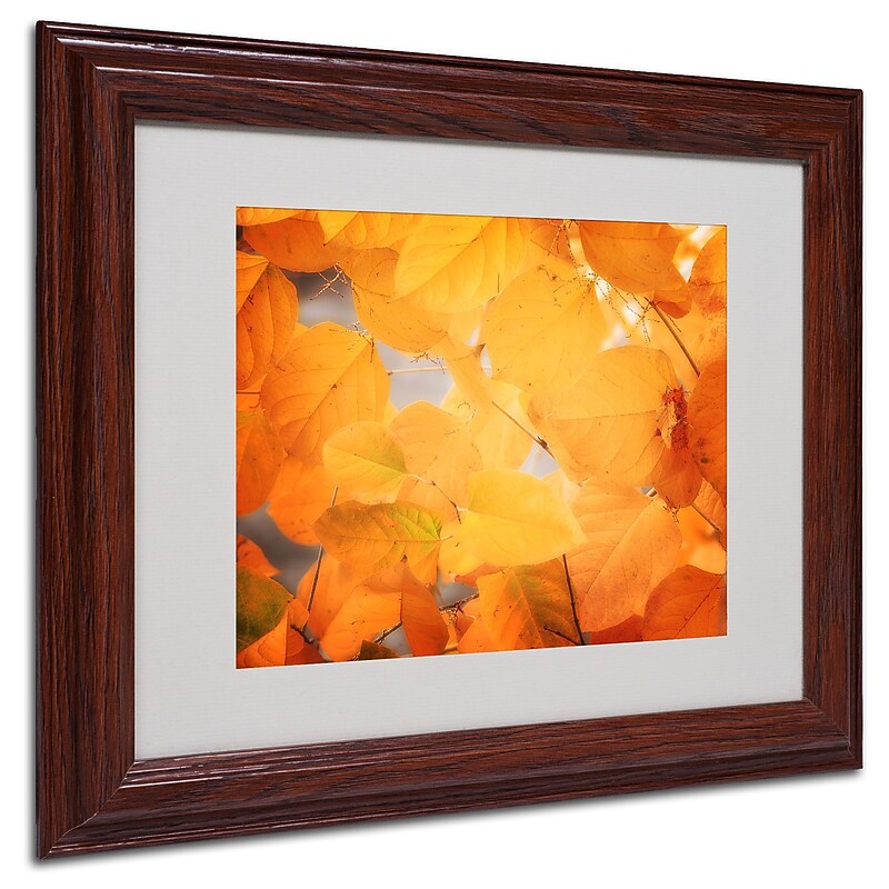 Trademark Philippe Sainte-Laudy "Seasonal Leaves" Art, White Matte With Wood Frame, 11" x 14" image 1