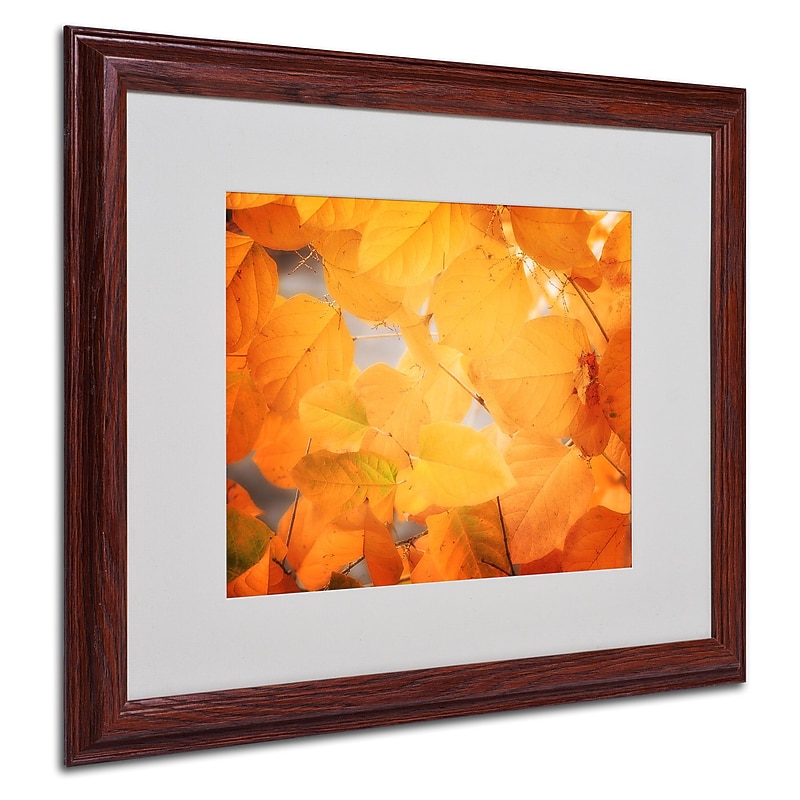 Trademark Philippe Sainte-Laudy "Seasonal Leaves" Art, White Matte With Wood Frame, 16" x 20" image 1